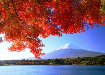 1 Day Mt. Fuji & Lake Kawaguchi Tour By Limon Bus