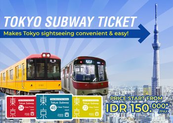 Tokyo Subway Ticket