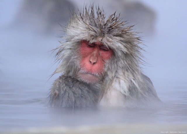 CYUCZ_3be4b5a8-21d2-44e2-a5d2-ddcb1ac9940b