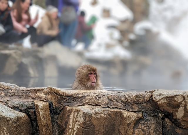 CYUCZ_a598f4da-6c87-4a39-9337-2aee42126788