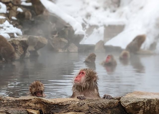 CYUCZ_ba6c4dfa-18c6-4aba-8ccc-140a6b131c60