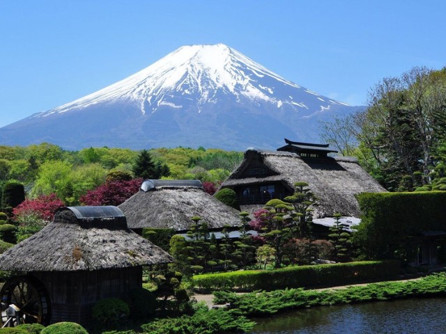 71FCK_72396e48-6660-4b34-82b7-d06f9b8509ea