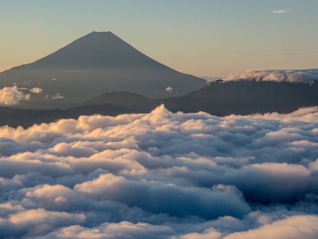 71FCK_797cb5c6-7009-460b-b190-4f467a8fd8fc