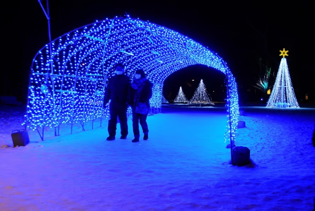 SSEIN_d5591c32-a461-48b4-aee1-a09d5f882a08