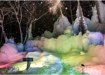 [Limited Time!] 2026 Illumination of the Subzero Forest at the Akigami Onsen