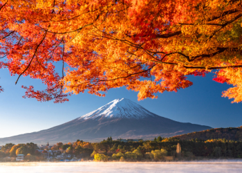 1 Day Mt. Fuji Area & Lake Kawaguchi Tour by Limon Bus [All Season]
