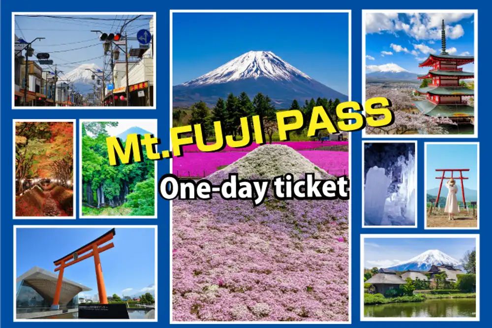 fuji pass 1 day
