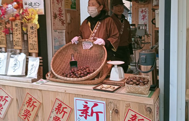 Menyusuri Keajaiban Alam di Hutam Bambu Arashiyama 11