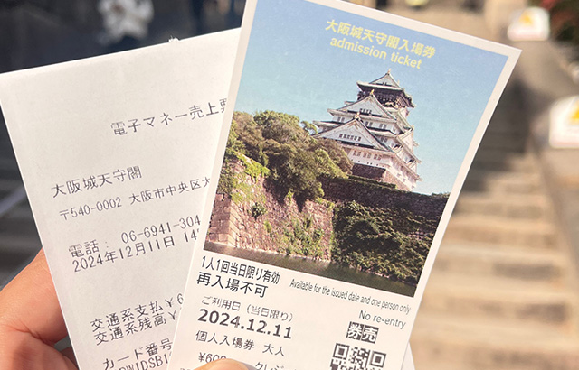 Osaka Castle 15