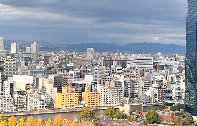 Osaka Castle 17