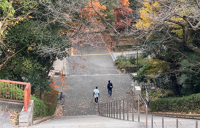Osaka Castle 5