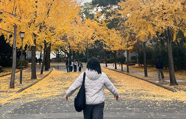 Osaka Castle 7