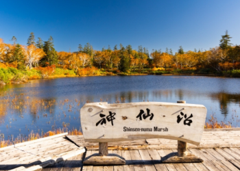 1 Day Autumn Shinsen Marsh & Niseko Nature Experience Tour by Chuo Bus [Autumn Season]