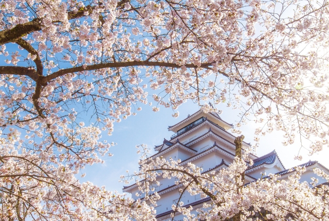 4ce6205cd36947d1f92b2f3ba9d38adeededcc9f282f45566fdb31fdd43e6cbc