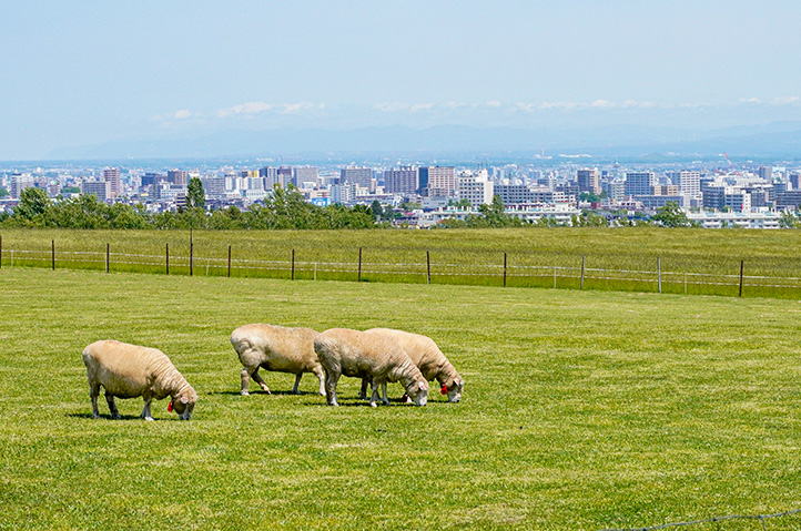 08FRI_1870441b-93d3-4e4d-9fa3-43d30a467a60