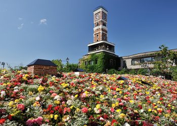 Half Day Sapporo Morning Tour by Chuo Bus [All Season]