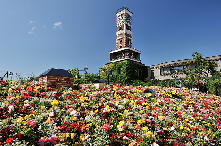 JAVHD_c25b8c28-fd28-47d0-bb71-e922e419b043