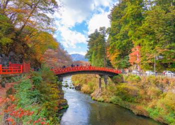 1 Day Nikko Heritage Tour [All Season]