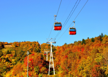 1 Day Famous Autumn Foliage Spot Hoheikyo & Otaru Tour by Chuo Bus [Autumn Season]